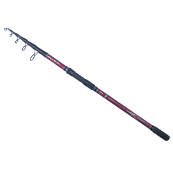 Set lanseta Wild Carp 4 Lbs 3.9 m si mulineta KT6000A